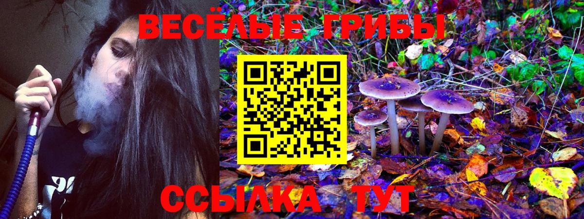 Галлюциногенные грибы прущие грибы Курчатов