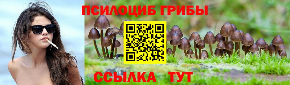 Курчатов  Псилоцибиновые грибы мухоморы  Вход с VPN 